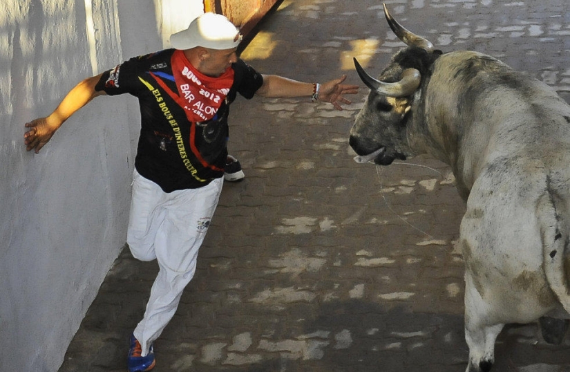 Las imágenes más emotivas de las fiestas españolas San Fermín 2013 Las imágenes más emotivas de las fiestas españolas San Fermín 2013