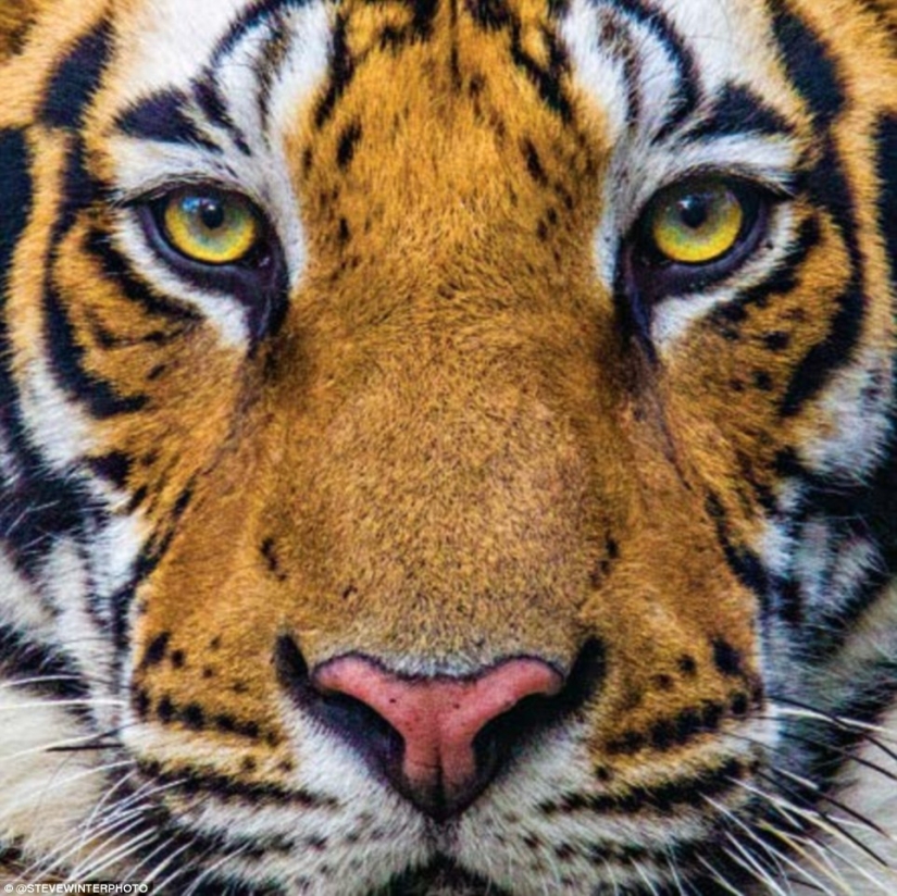 Las imágenes más populares de Instagram National Geographic Las imágenes más populares de Instagram National Geographic