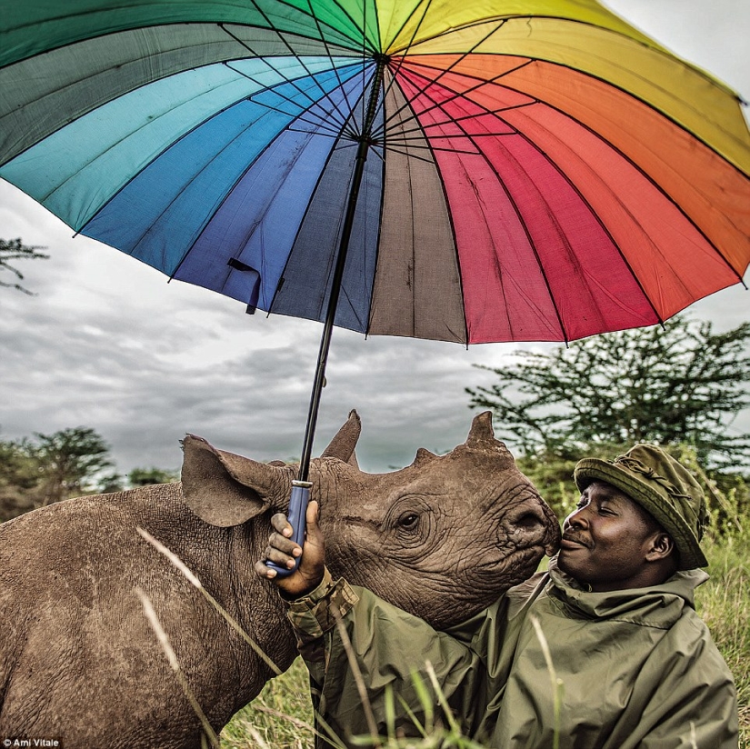 Las imágenes más populares de Instagram National Geographic Las imágenes más populares de Instagram National Geographic