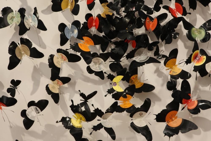 Las mariposas como arte