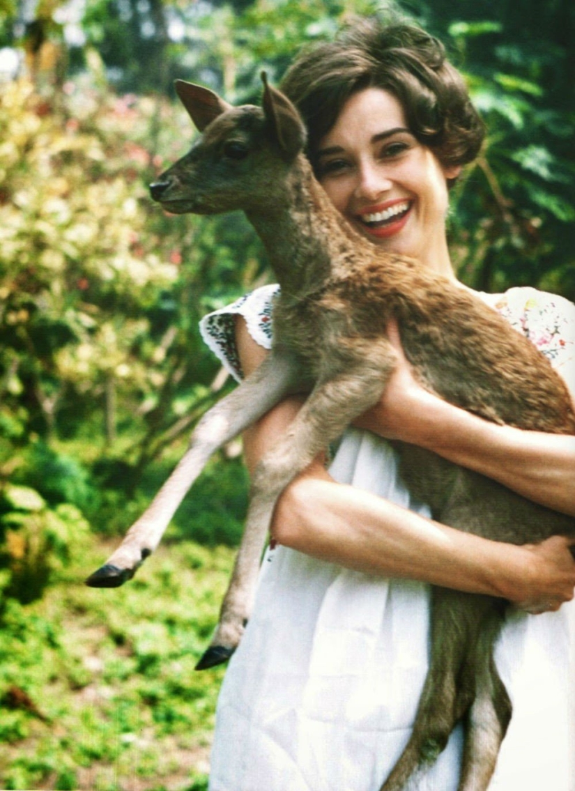 Las mascotas de celebridades más inusuales Las mascotas de celebridades más inusuales