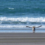 Las mejores fotos de 2013 según la revista Twistedsifter