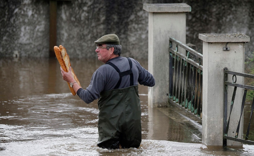Las mejores fotos de 2016 según Reuters Las mejores fotos de 2016 según Reuters