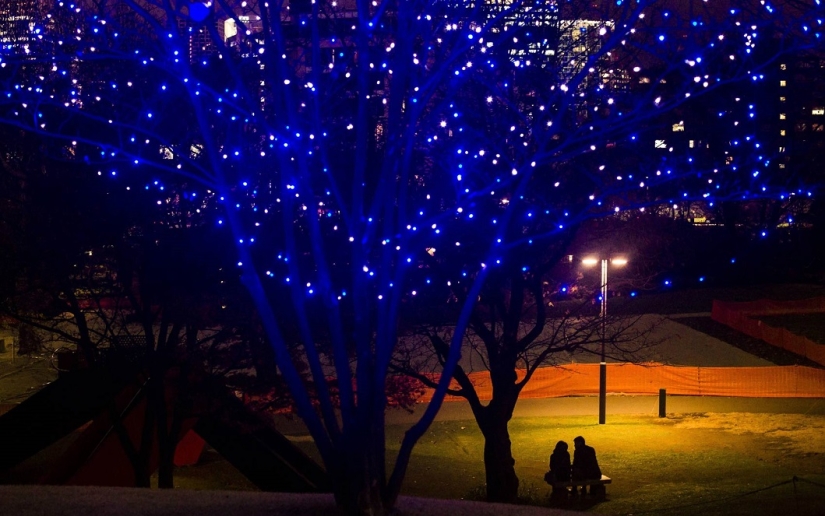 Las mejores fotos de todo el mundo esta semana.