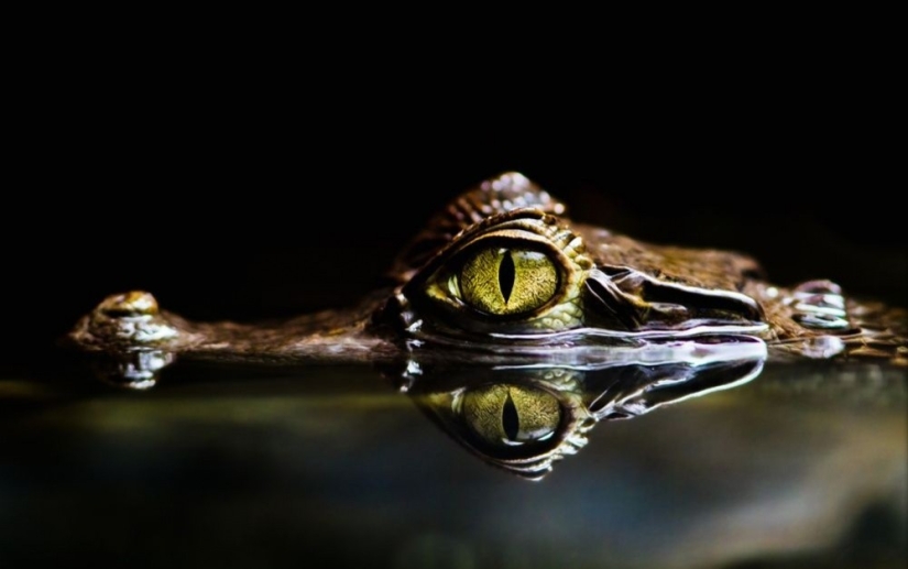 Las mejores fotos de National Geographic de septiembre