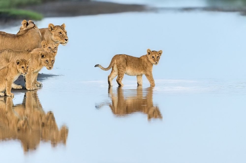 Las mejores fotos de National Geographic de septiembre