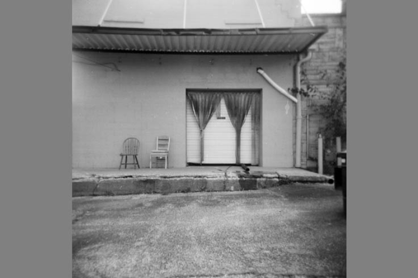 Las mejores fotos del año tomadas con cámaras malas y baratas