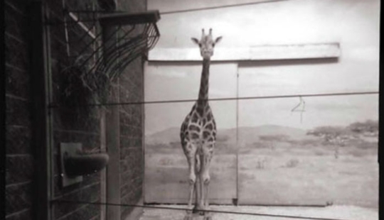 Las mejores fotos del año tomadas con cámaras malas y baratas Las mejores fotos del año tomadas con cámaras malas y baratas