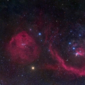 Las mejores fotos del prestigioso concurso de fotografía