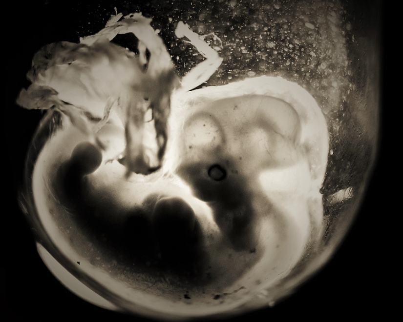 Las mejores fotos en blanco y negro de 2016 Las mejores fotos en blanco y negro de 2016