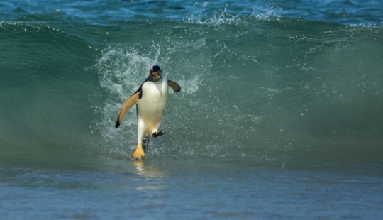 Las mejores tomas del año de National Geographic Las mejores tomas del año de National Geographic