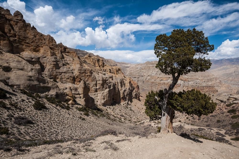Las montañas son mejores que las montañas. Las montañas son mejores que las montañas.