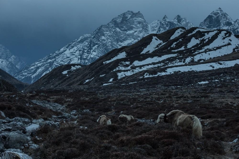Las montañas son mejores que las montañas. Las montañas son mejores que las montañas.