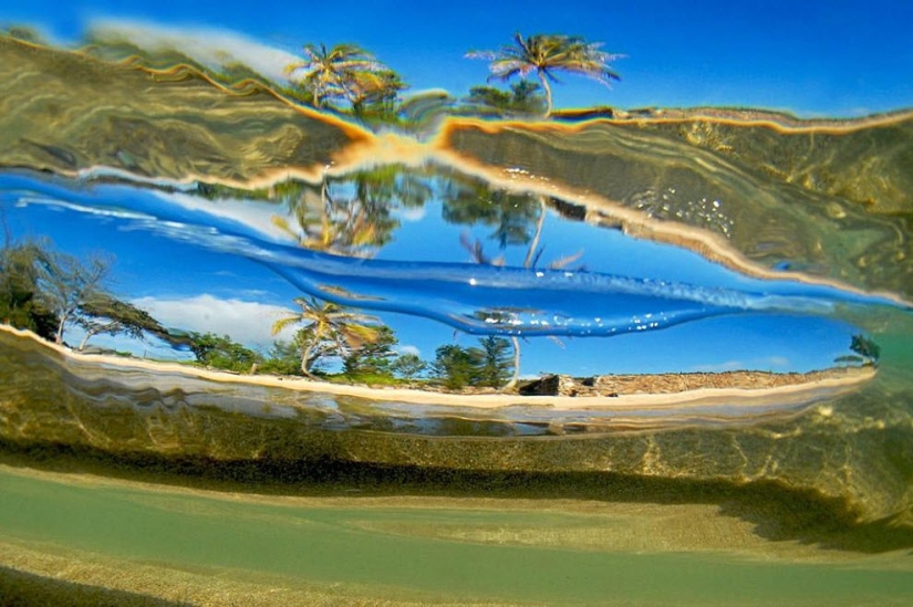 Las olas hawaianas más hermosas de Clark Little