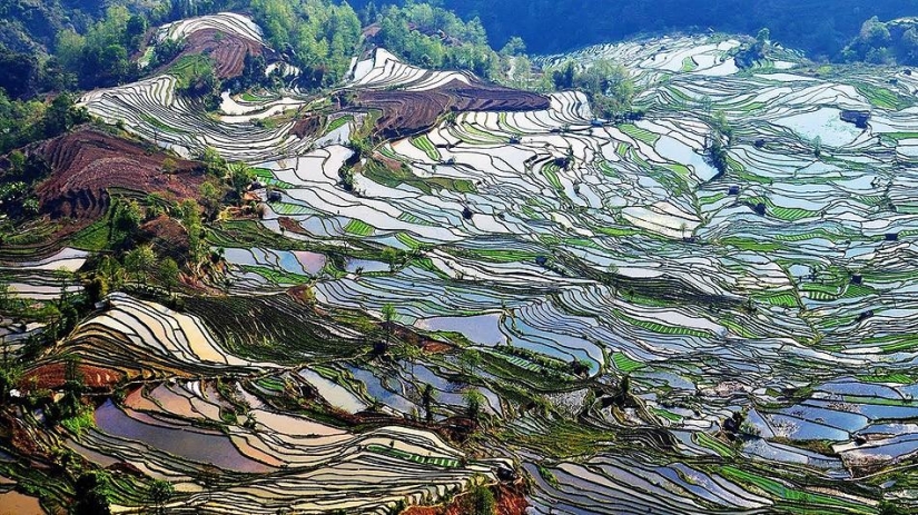 Las terrazas de arroz de Honghe Hani inscritas en la Lista del Patrimonio Mundial de la UNESCO