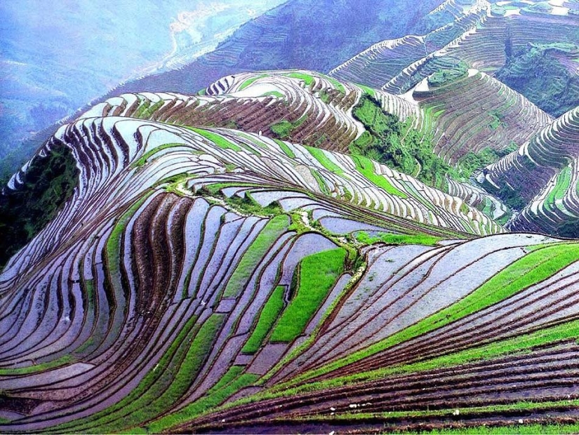 Las terrazas de arroz de Honghe Hani inscritas en la Lista del Patrimonio Mundial de la UNESCO