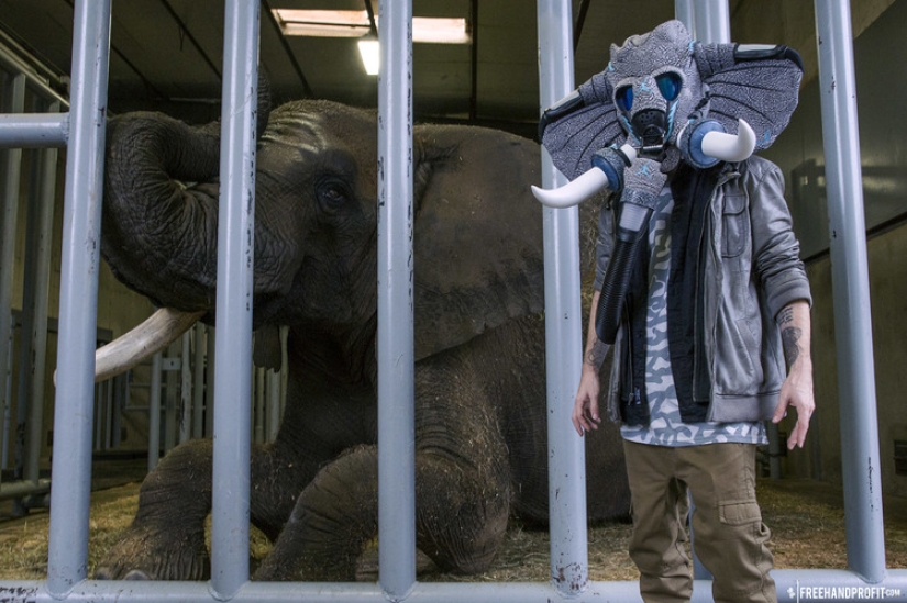 Las zapatillas de deporte deben usarse en la cabeza, dice el diseñador estadounidense