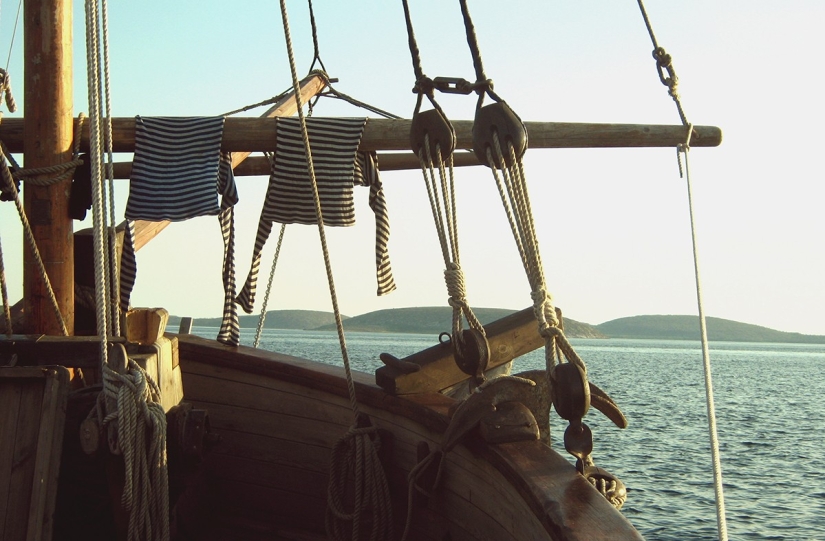 Let's save the ship together! Let's save the ship together!