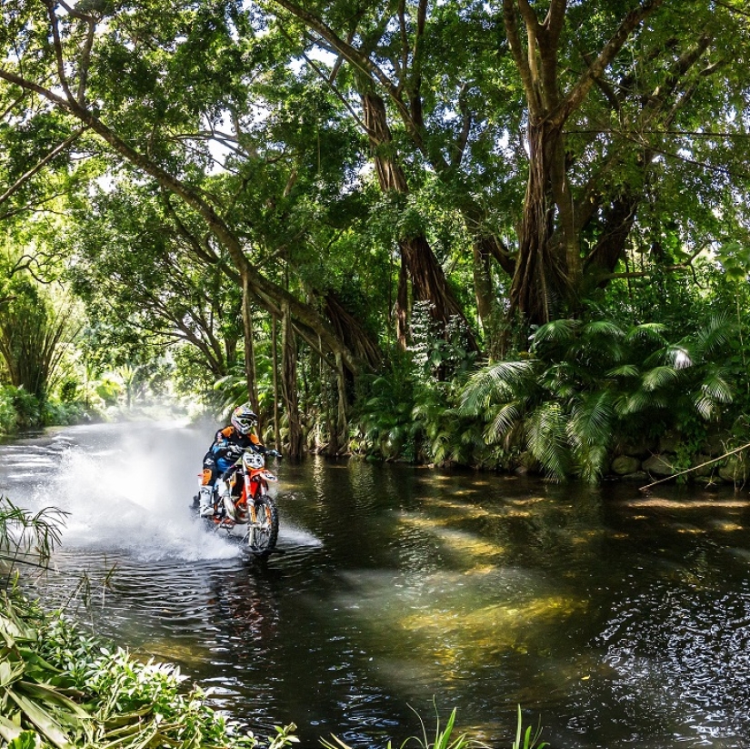 Leyenda del surf: Robbie Maddison monta una ola en una motocicleta