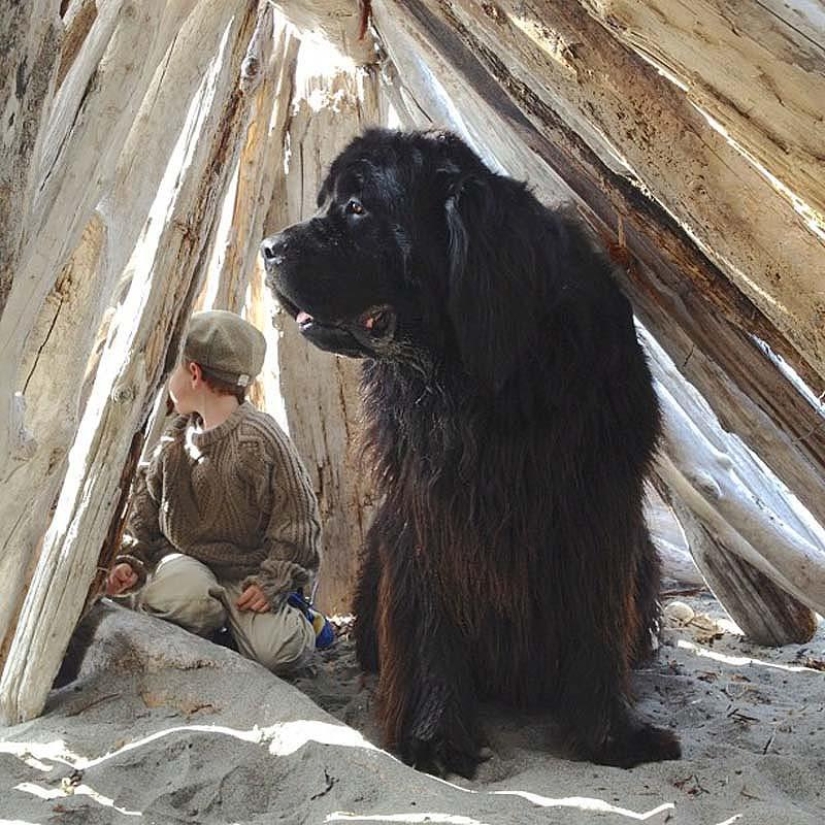 Little friend, big friend Little friend, big friend