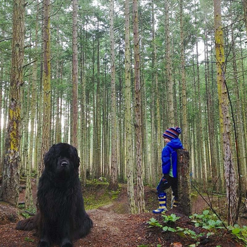 Little friend, big friend Little friend, big friend