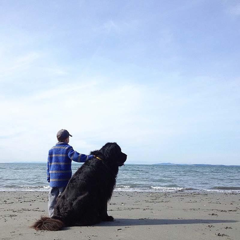 Little friend, big friend Little friend, big friend