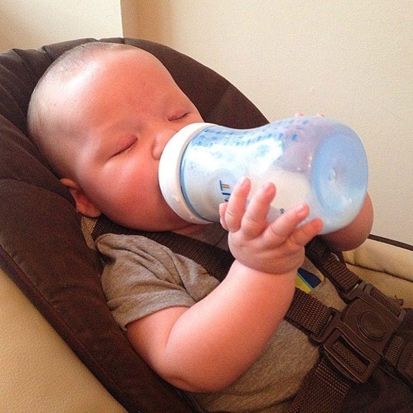 Little Pastafarians and their Food Religion Colleagues