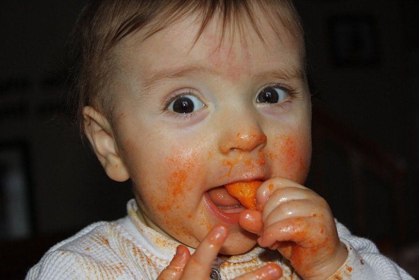 Little Pastafarians and their Food Religion Colleagues