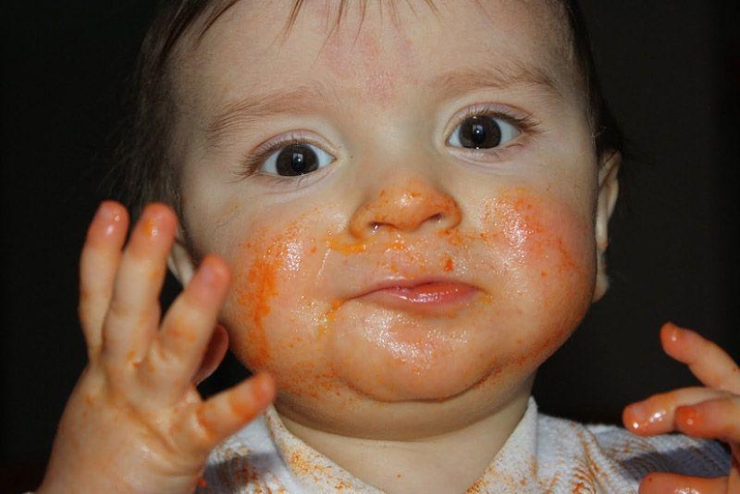 Little Pastafarians and their Food Religion Colleagues