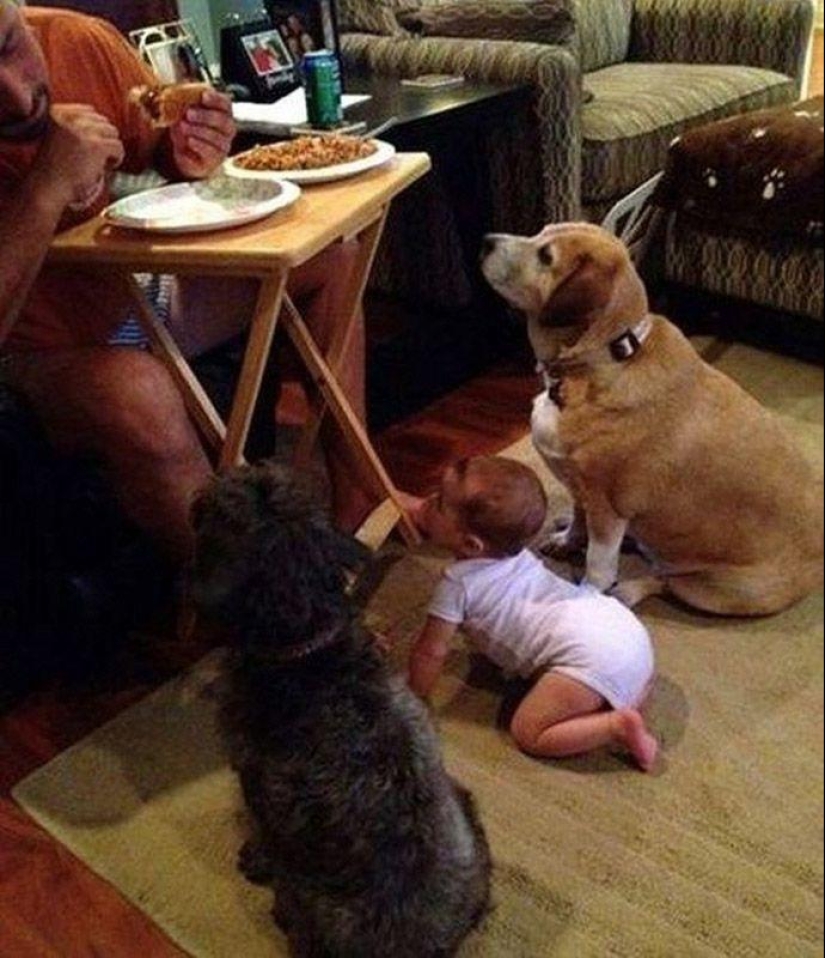 Little Pastafarians and their Food Religion Colleagues