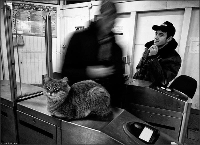 Little stories of the big metro