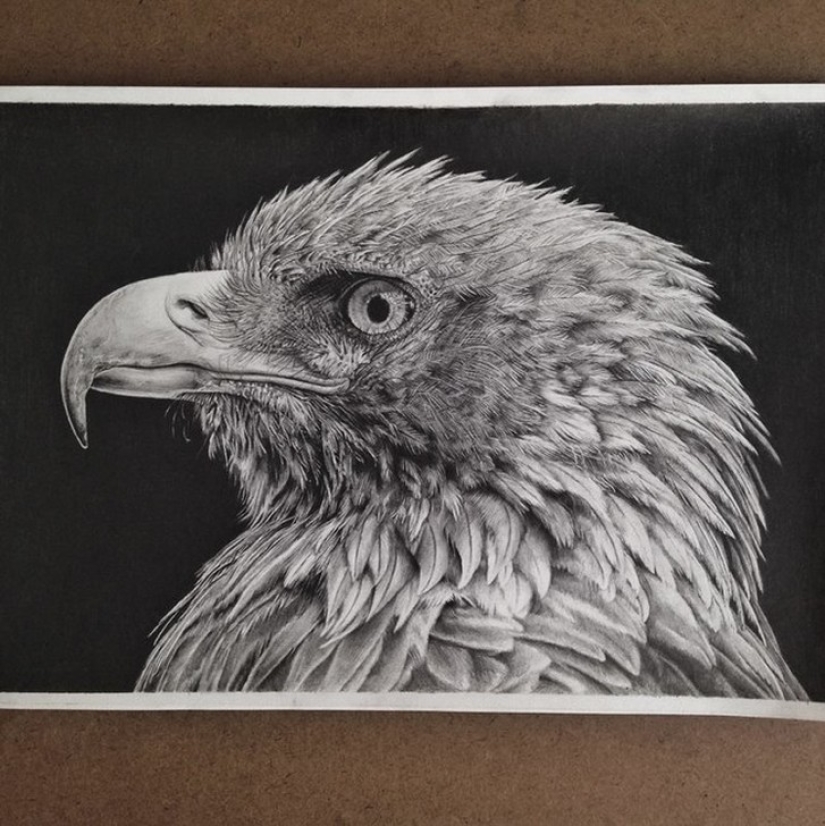 Lo creas o no, ¡estas no son fotografías! Lo creas o no, ¡estas no son fotografías!