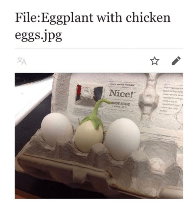 Lo que esconden las profundidades de Wikipedia: una cuenta de los artículos más absurdos ha aparecido en Twitter