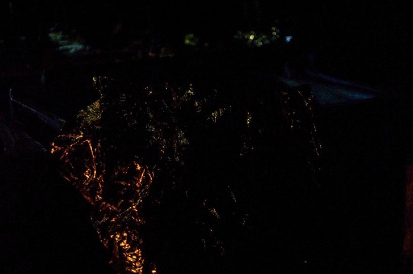 Lo que los refugiados dejaron atrás donde nunca volverán Lo que los refugiados dejaron atrás donde nunca volverán