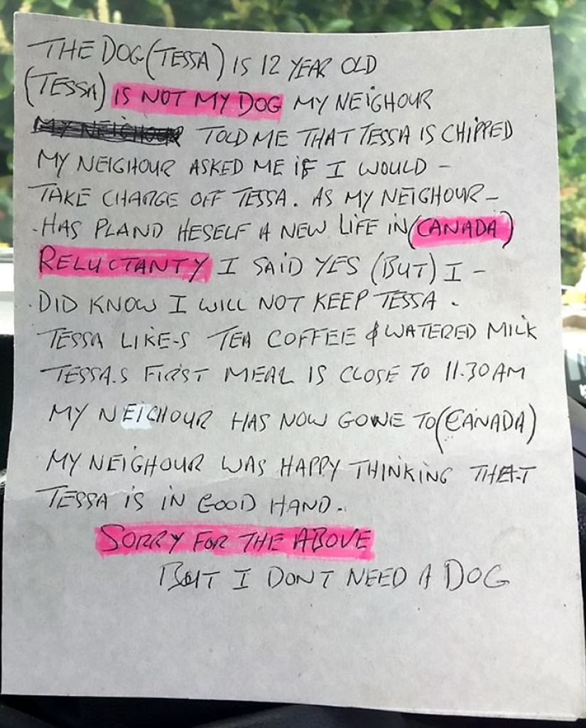 "Lo siento, no lo necesito": a un británico se le confió un perro y lo arrojó a un campo