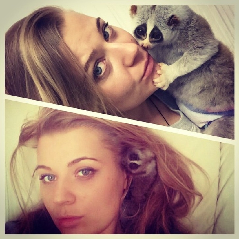 Lori named Sarah is the most touching animal in the world