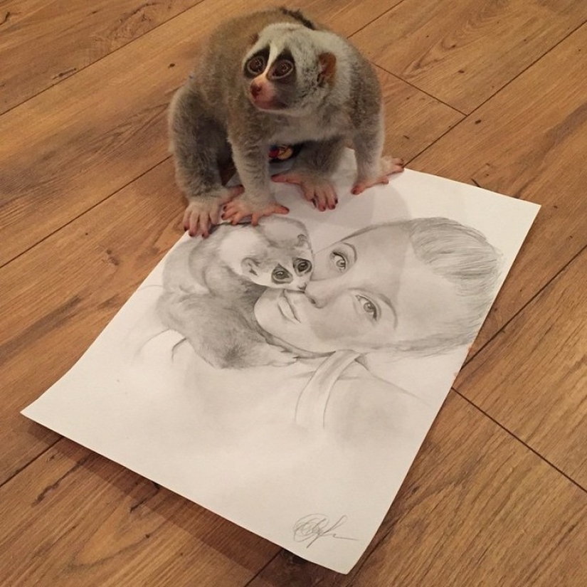 Lori named Sarah is the most touching animal in the world