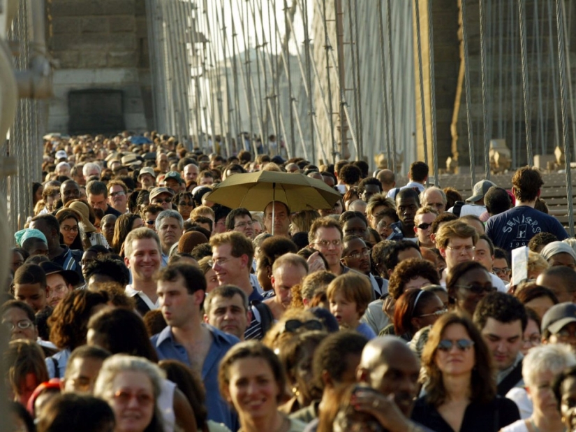 Los 15 animales más peligrosos del mundo