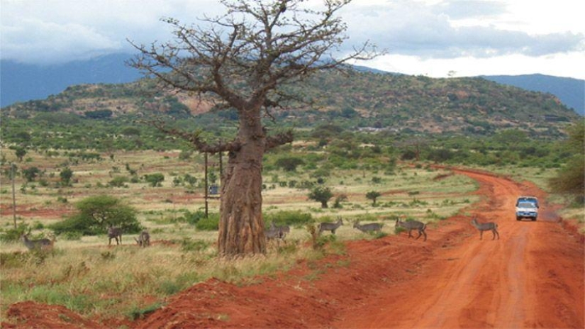 Los 25 lugares más bellos y a la vez apartados del planeta