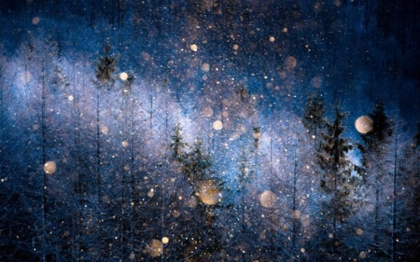 los 33 finalistas del concurso fotográfico Sony World Photography Awards 2017 los 33 finalistas del concurso fotográfico Sony World Photography Awards 2017