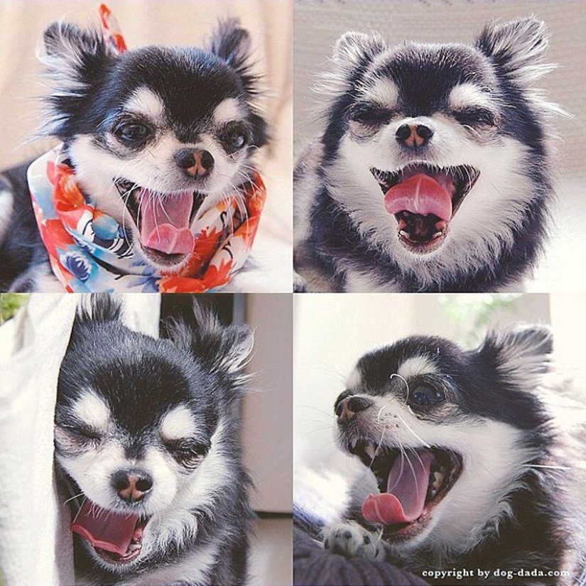 Los 43 Instagrams más conmovedores de 2013 Los 43 Instagrams más conmovedores de 2013