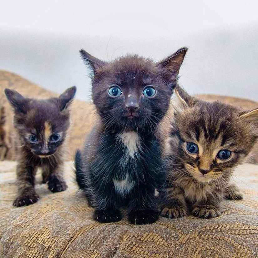 Los 43 Instagrams más conmovedores de 2013 Los 43 Instagrams más conmovedores de 2013