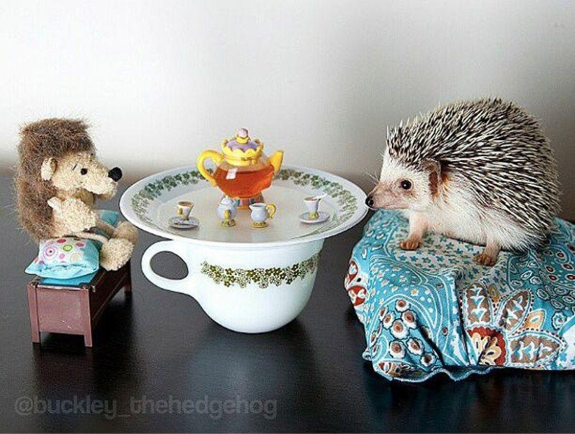 Los 43 Instagrams más conmovedores de 2013 Los 43 Instagrams más conmovedores de 2013