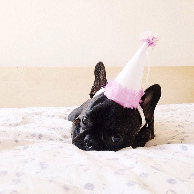 Los 43 Instagrams más conmovedores de 2013 Los 43 Instagrams más conmovedores de 2013