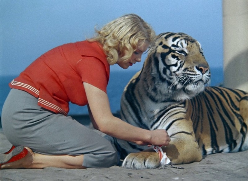 Los actores de cine de animales más famosos Los actores de cine de animales más famosos