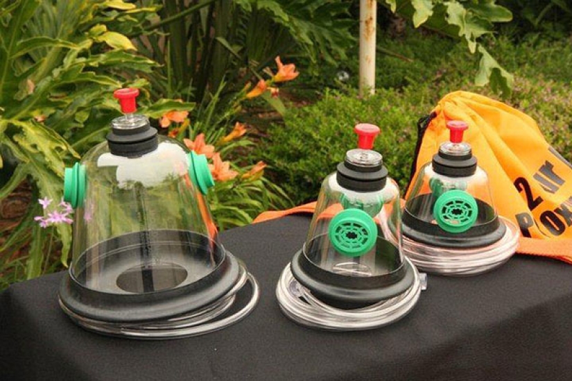 Los bomberos usan una máscara especial para salvar a un gato que estaba inconsciente