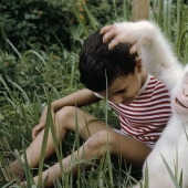 Los caprichos de la naturaleza: los animales albinos