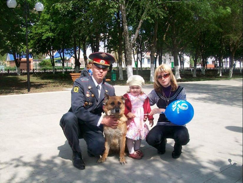 Los ejemplos más fuertes de la devoción heroica del perro