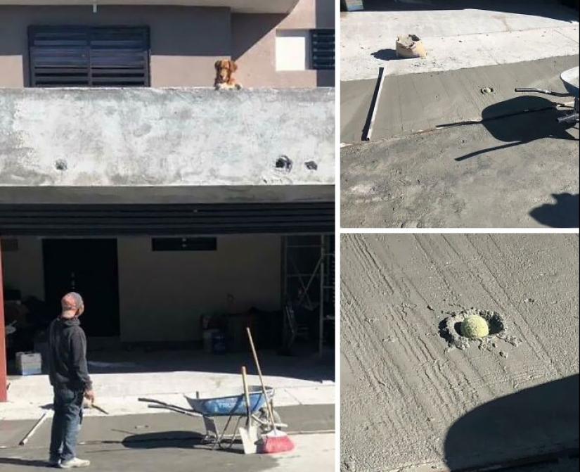 Los empleados comparten fotografías de desastres en el lugar de trabajo, aquí están los 10 peores