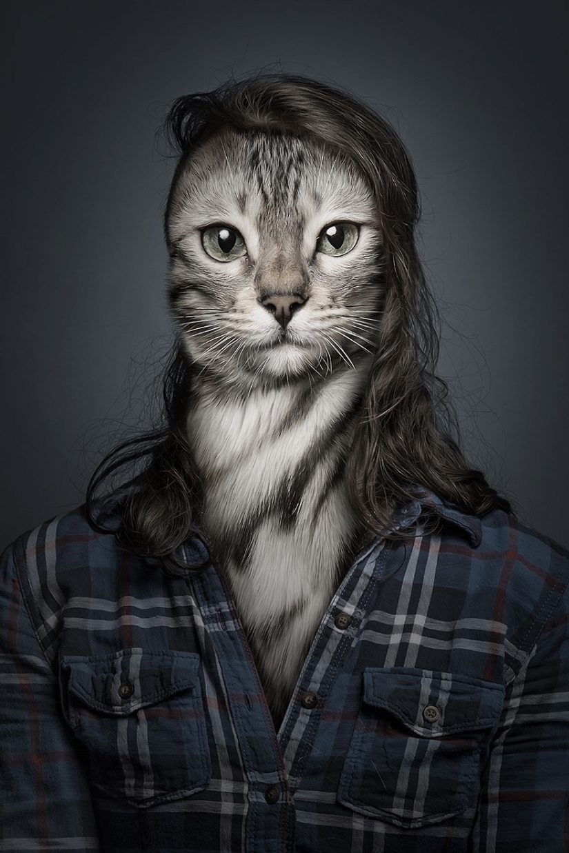 Los gatos y sus dueños: mirada familiar. Los gatos y sus dueños: mirada familiar.